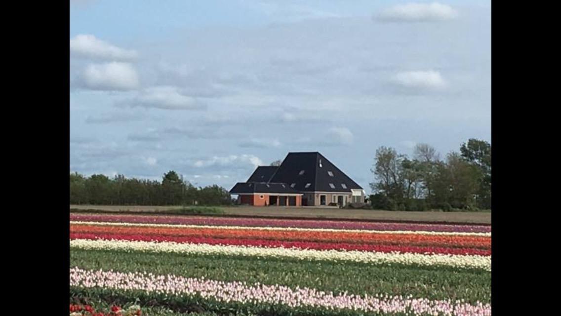 Boerderij De Waard Acomodação com café da manhã Anna Paulowna Exterior foto